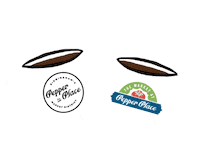 Coffee Time Sticker by marketatpepperplace