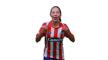 San Luis Soccer Sticker by Atlético de San Luis