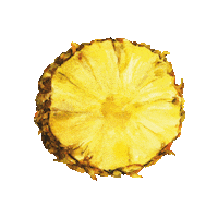 wineandsomething wine fruit tropical vino Sticker