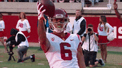 Celebration Touchdown GIF by Pac-12 Network