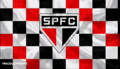 Corinthians Maior Do Brasil GIF