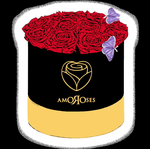 Amoroses love rose rosa stabilized GIF
