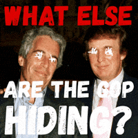 Lying Jeffrey Epstein GIF by Creative Courage
