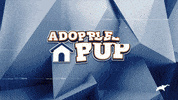 Dogs Love GIF by Puppy Bowl