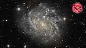 Snow Stars GIF by ESA/Hubble Space Telescope