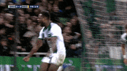 GIF by FOX Sports