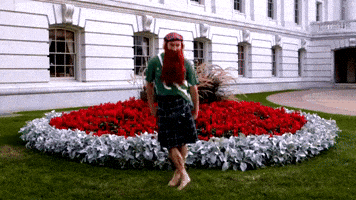 Dance Anthony GIF by The Wiggles
