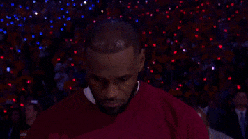 2017 nba finals basketball GIF by NBA