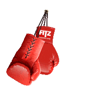 fitzgym boxing punch fitz boksen Sticker
