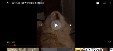rajanbrar9455  GIF