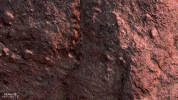 Spartans Multiplayer GIF by Halo
