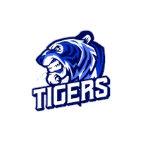 HellcatsCheer tigers hellcats hellcats cheerleaders hellcatscheer Sticker
