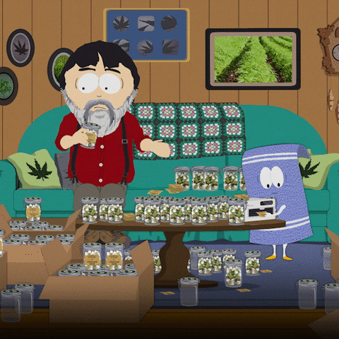 Season 23 Episode 10 GIF by South Park