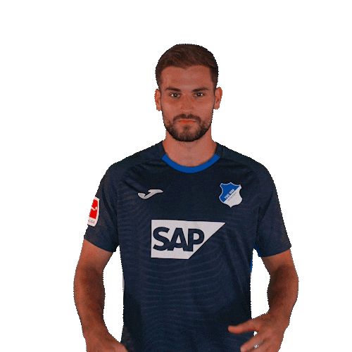 Sport Bundesliga Sticker by TSG Hoffenheim