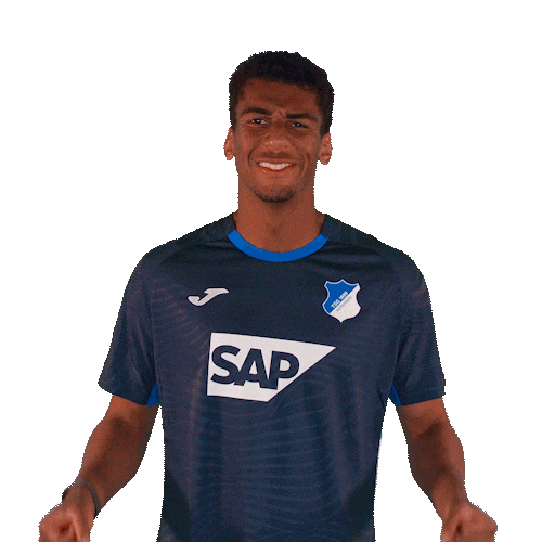 Sport Bundesliga Sticker by TSG Hoffenheim