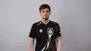 League Of Legends Lol GIF by G2 Esports