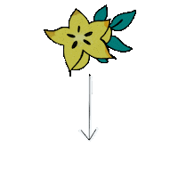 MyLittleBabyRock swipe up kidswear kids fashion carambola Sticker