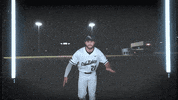 Sam Thompson Baseball GIF by ORU Athletics