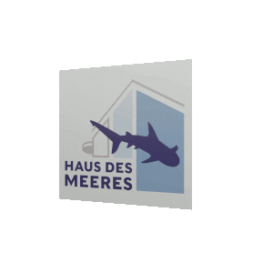 Haus Des Meeres Spinning Sticker by Haus des Meeres Aqua Terra Zoo