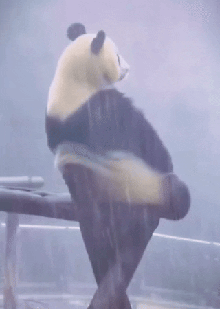 GIF by Martin