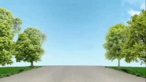GIF by eltrecetv