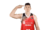 Liga Endesa Basketball Sticker by ACB