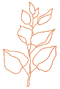 Pastel Plant Sticker