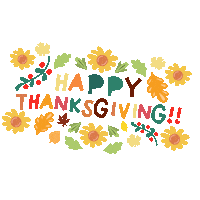 Space Station Fall Sticker by Shonduras