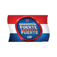 Paraguay Ganaderia Sticker by Innovación S.R.L.