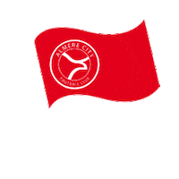 AlmereCityFC voetbal ally supporter almere Sticker