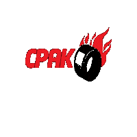 amikakart kart amika rental kart cpak Sticker