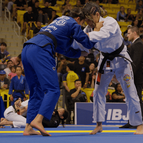 artofjiujitsu jiu jitsu takedown ibjjf art of jiu jitsu GIF