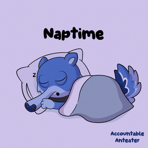 Sleep Sleeping GIF by VeeFriends