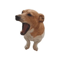 Teo Jackrussel Sticker by Stagione Arte