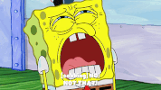 season 9 GIF by SpongeBob SquarePants