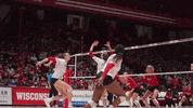 Wisconsin Volleyball GIF by Wisconsin Badgers