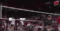 Happy Pumped Up GIF by Wisconsin Badgers