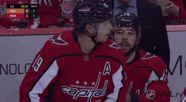 ice hockey GIF by NHL