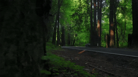 Corvette Z06 C8 GIF by jesse_iwuji