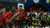 Cristiano Ronaldo GIF