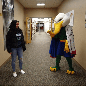 Gulls GIF by Endicott College