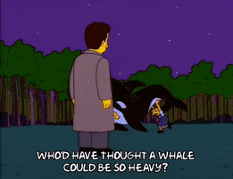 season 8 episode 10 GIF