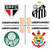 Santos Corinthians GIF