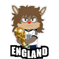 World Cup Football Sticker