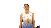 sedisbasquet geo bahi cadilaseu sedis Sticker