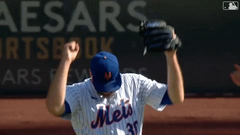 Baseball Mlb GIF by New York Mets