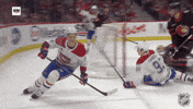 Happy Montreal Canadiens GIF by NHL