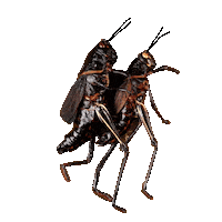 Couple Love Sticker by Mighty Oak