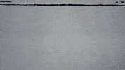 NevadaWolfPack swim dive wolfpack nevada GIF
