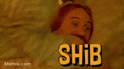 Fud Fudder GIF by SHIB MEMES